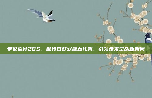 专家谈歼20S，世界首款双座五代机，引领未来空战新格局