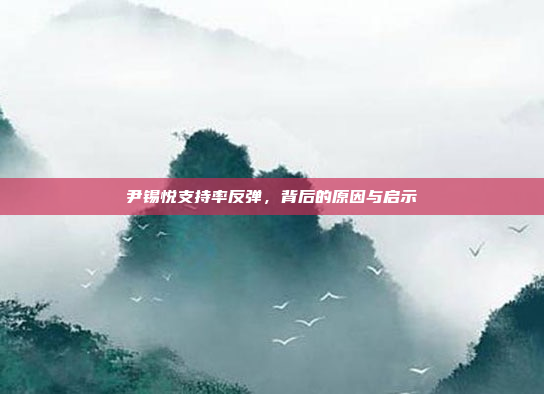 尹锡悦支持率反弹，背后的原因与启示