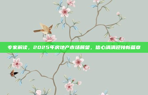 专家解读，2025年房地产市场展望，信心满满迎接新篇章