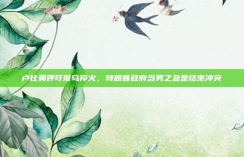 卢比奥呼吁俄乌停火，特朗普政府当务之急是结束冲突