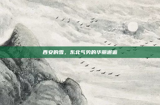 西安的雪，东北气势的华丽邂逅