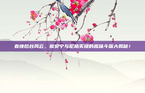 春晚后台风云，撒贝宁与尼格买提的趣味斗嘴大揭秘！