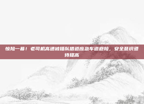 惊险一幕！老司机高速被插队借道应急车道避险，安全意识亟待提高