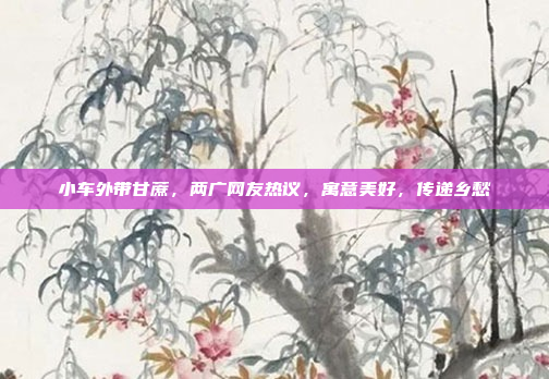 小车外带甘蔗，两广网友热议，寓意美好，传递乡愁