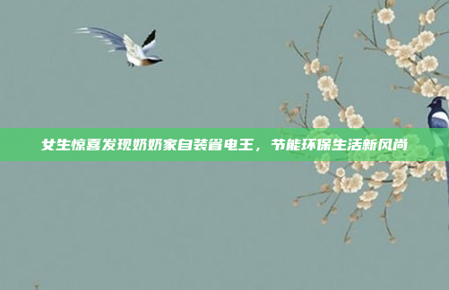 女生惊喜发现奶奶家自装省电王，节能环保生活新风尚