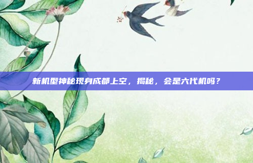 新机型神秘现身成都上空，揭秘，会是六代机吗？