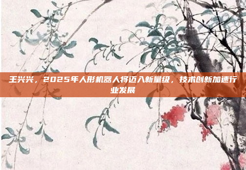 王兴兴，2025年人形机器人将迈入新量级，技术创新加速行业发展