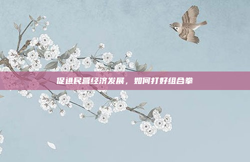 促进民营经济发展，如何打好组合拳