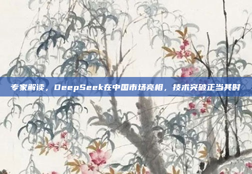 专家解读，DeepSeek在中国市场亮相，技术突破正当其时