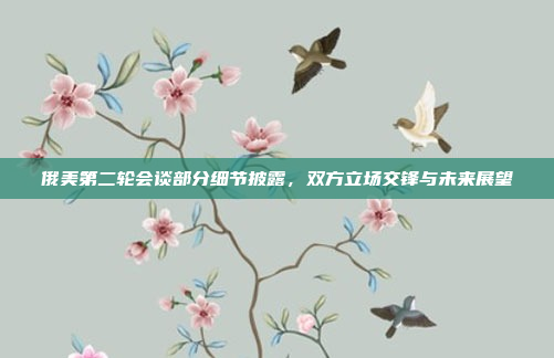 俄美第二轮会谈部分细节披露，双方立场交锋与未来展望