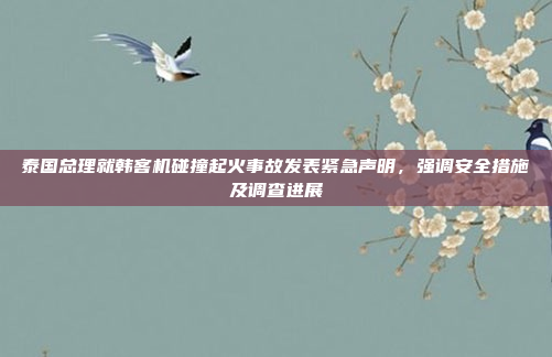 泰国总理就韩客机碰撞起火事故发表紧急声明，强调安全措施及调查进展