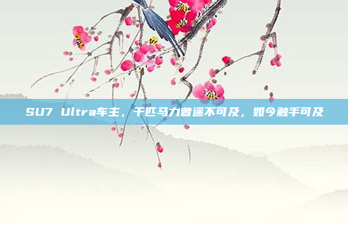 SU7 Ultra车主，千匹马力曾遥不可及，如今触手可及