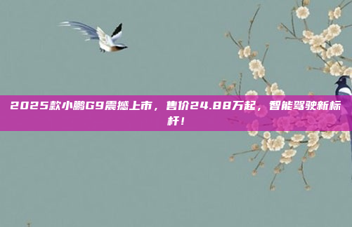 2025款小鹏G9震撼上市，售价24.88万起，智能驾驶新标杆！