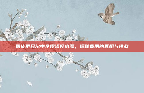 网传尼日尔中企投资打水漂，揭秘背后的真相与挑战